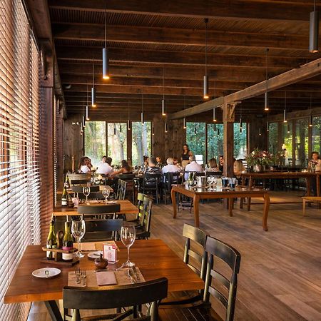 La Casona At Matetic Vineyards Guest House Lagunillas Ngoại thất bức ảnh