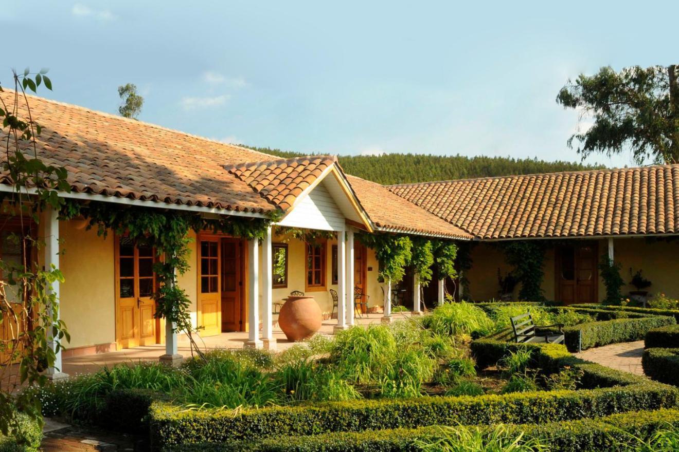 La Casona At Matetic Vineyards Guest House Lagunillas Ngoại thất bức ảnh