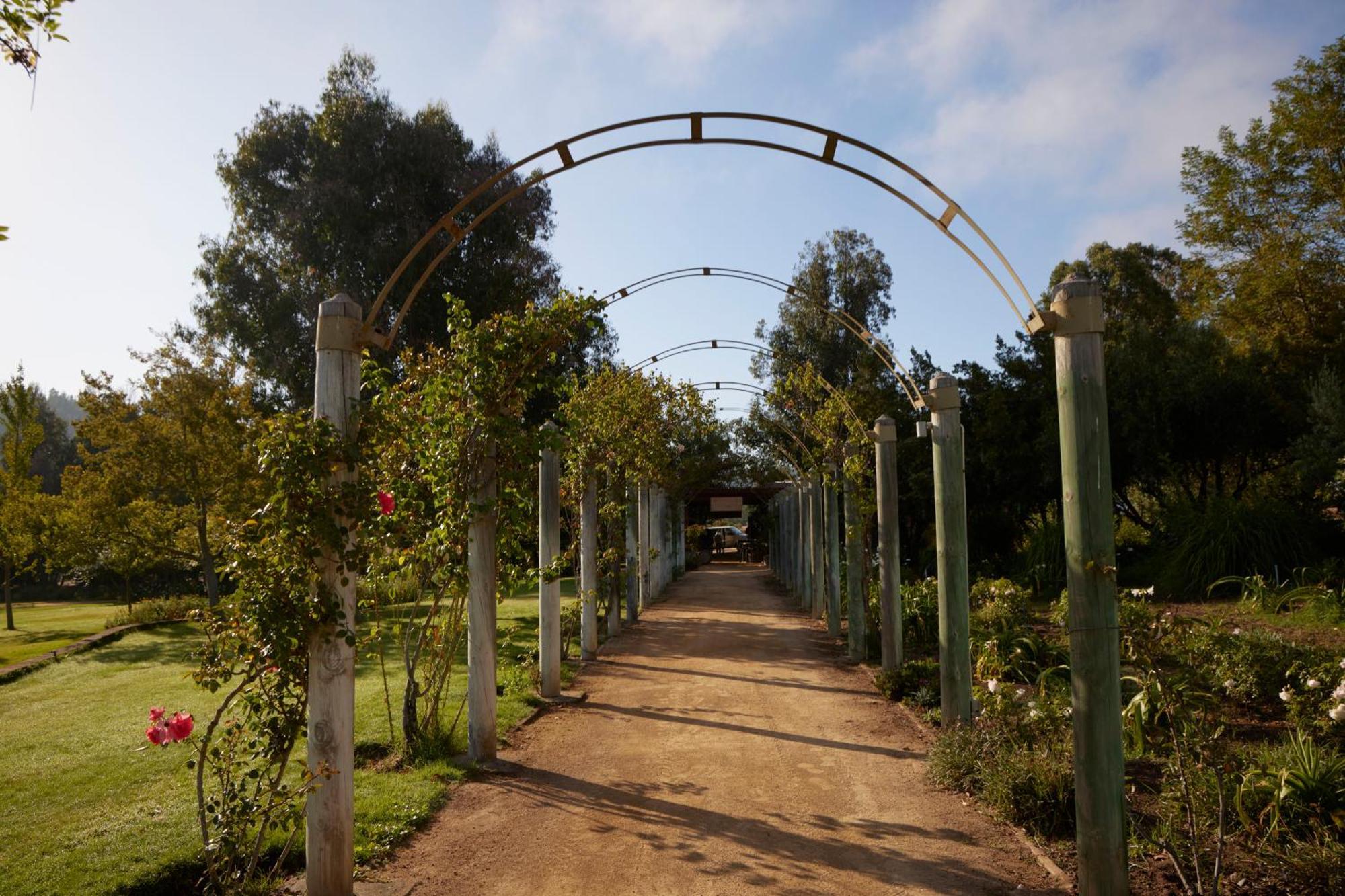 La Casona At Matetic Vineyards Guest House Lagunillas Ngoại thất bức ảnh