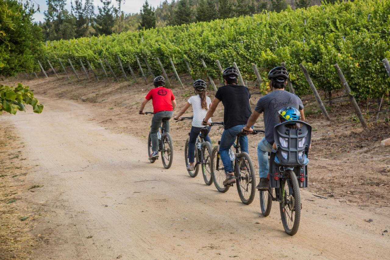 La Casona At Matetic Vineyards Guest House Lagunillas Ngoại thất bức ảnh